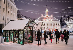 Tartu miestas Estijoje