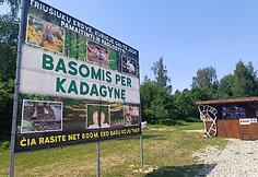 Basų kojų takas &scaron;alia Kadagių slėnio