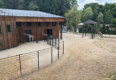 Lietuvos zoologijos sodas at&scaron;ventė 86-ąjį gimtadienį
