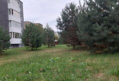 Mažosios gatvės Raudondvaryje žalioji zona, kur žadama nutiesti kelią