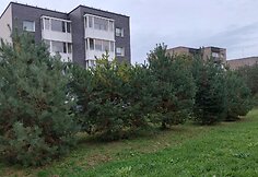 Mažosios gatvės Raudondvaryje žalioji zona, kur žadama nutiesti kelią