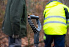 Ąžuoliukų sodinimas Ąžuolyno parke Kaune