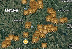 Ignalinos gatvėse per Kalėdas pasirodė me&scaron;ka