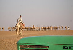 Manon Ossevoort ekspedicijos akimirka