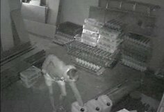 Kauno policija ie&scaron;ko, kam parūpo svetimi elektriniai įrankiai