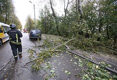 Kaune ant pravažiuojančios ma&scaron;inos užgriuvęs medis sužalojo vairuotoją