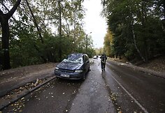 Kaune ant pravažiuojančios ma&scaron;inos užgriuvęs medis sužalojo vairuotoją