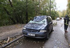 Kaune ant pravažiuojančios ma&scaron;inos užgriuvęs medis sužalojo vairuotoją