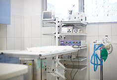 Gyvūnų ir žmonių organizmus gretinantis veterinaras V.Siaurys kuria naują kliniką