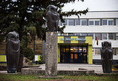 VDU &bdquo;Rasos&ldquo; gimnazija