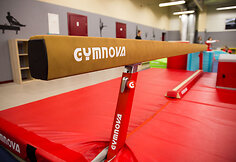 Tarptautinio gimnastikos centro atidarymas