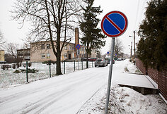 Laurų gatvė, vaizdo kamera ir daželis