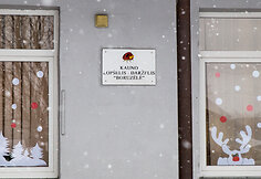 Laurų gatvė, vaizdo kamera ir daželis
