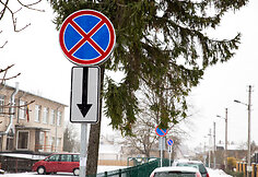 Laurų gatvė, vaizdo kamera ir daželis