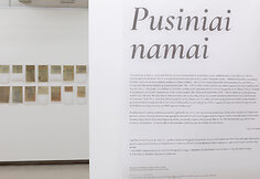 Ingos Navickaitės-Drąsutės paroda &bdquo;Pusiniai namai&ldquo;