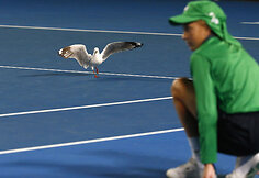 Gražiausios trečios &bdquo;Australian Open&ldquo; dienos nuotraukos