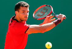 Gilles'is Simonas prieš Grigorą Dimitrovą