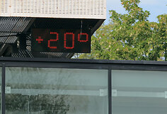 Laurynas Grigelis prie&scaron; Lloydą Harrisą