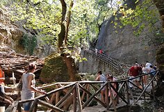 Manto Vyganto su &scaron;eima atostogų akimirka