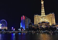 Evelinos Young įspūdžiai iš Las Vegaso