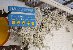 Restorano terasos atidarymo akimirka