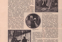 1931 m. publikuota recenzija apie filmą suomių kino žurnale &bdquo;Elokuva&ldquo;. Suomių kino kritikai gyrė gamtos ir miesto vaizdus, užfiksuotus kino juostoje