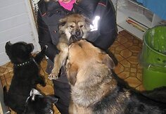 Įkrauk.lt nuotrauka