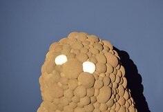 Pictoplasma"