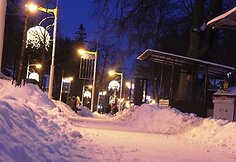 Kalėdinė Palanga