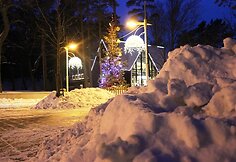 Kalėdinė Palanga