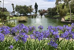 Madeira