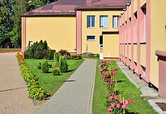 Spygliuočių kompozicijos