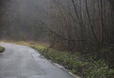 Senasis kelias nuo Karoliniškių link Salotės ežero