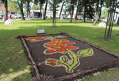Nuotraukos pavadinimas