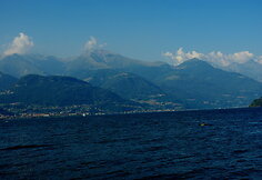 Cremia