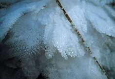 Nanofx nuotr.
