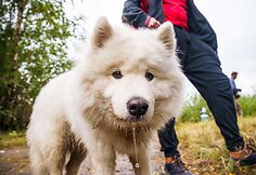 Lietus nei&scaron;gąsdino &ndash; tūkstančiai žygeivių grožėjosi lietuvi&scaron;kuoju Marsu. Organizaotrių nuotr.