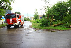 Liūties padariniai Panevėžyje