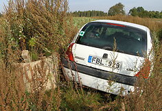 Avarijos vietoje