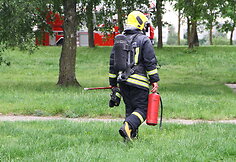 Gaisro vietoje