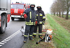 Avarijos vietoje