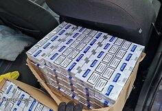 Sulaikytos cigaretės