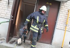 Gaisro vietoje