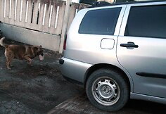 „Seat Cordoba Vario“