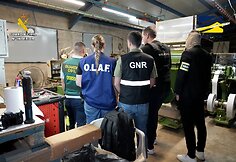 Ispanijoje likviduoti šeši nelegalūs tabako fabrikai