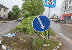 Avarijos vietoje