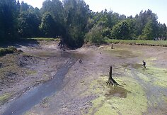 Krekenavos užvanka