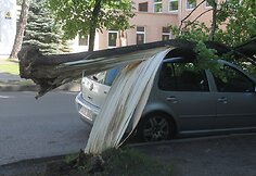 Įvykio vietoje