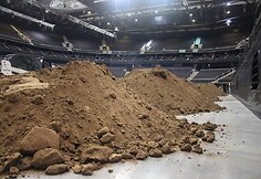 „Žalgirio“ arena