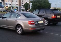 Sulaikymo operacija Panevėžyje